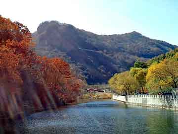 新澳天天开奖资料大全旅游团，汽车空调清洗剂